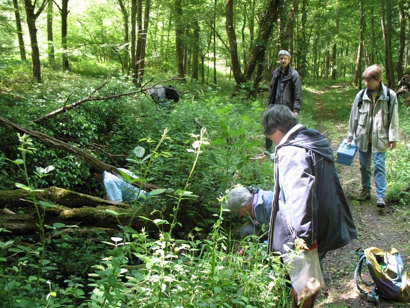 2006 myco ANY CERF 3.06.06 033